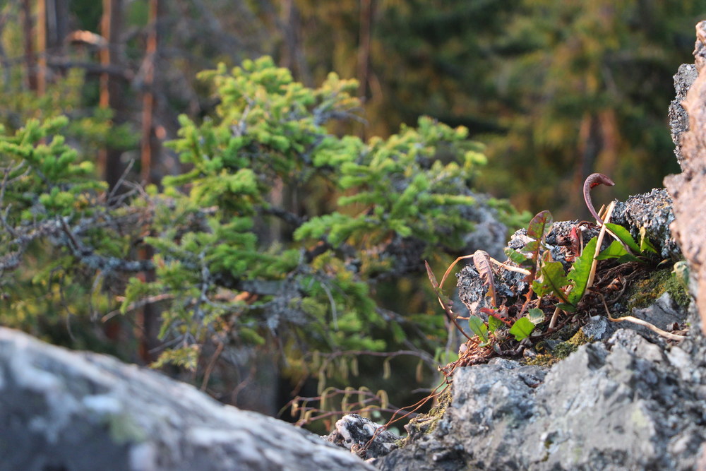 Fotka 07_25_svitani/img_0749.jpg