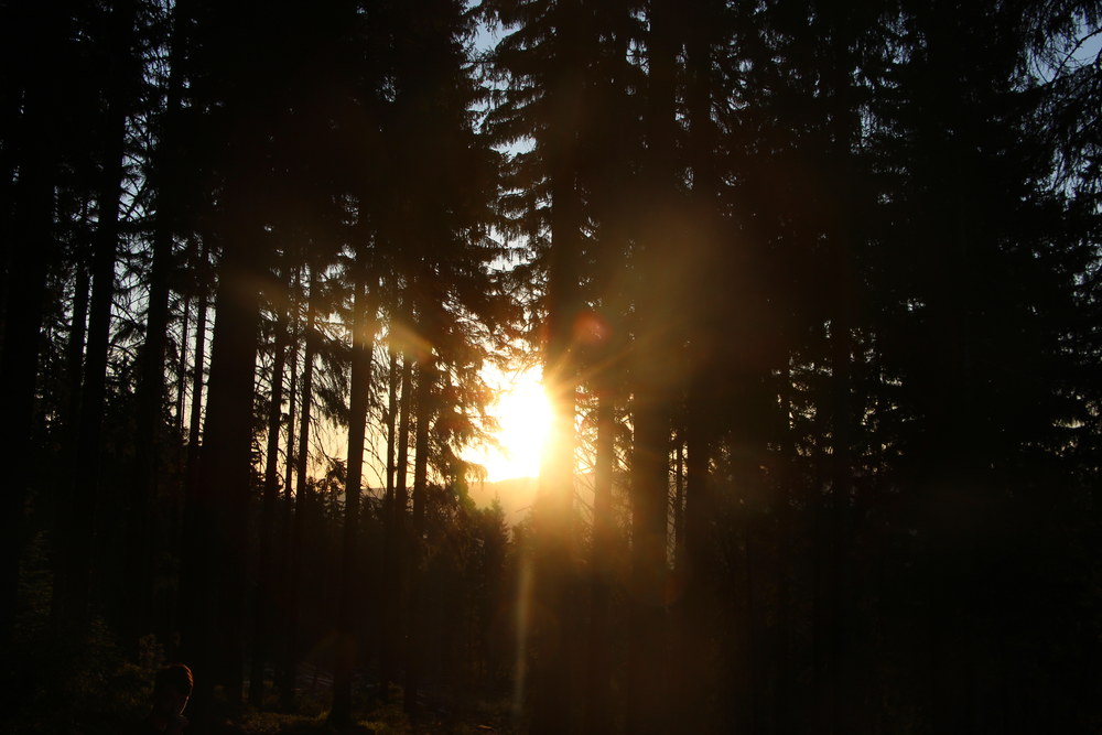 Fotka 07_25_svitani/img_0770.jpg