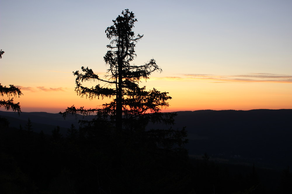 Fotka 07_25_svitani/img_8337.jpg