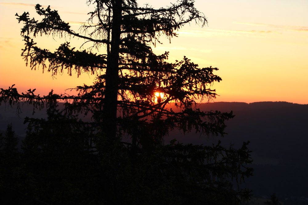 Fotka 07_25_svitani/img_8353.jpg