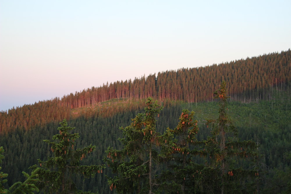 Fotka 07_25_svitani/img_8355.jpg