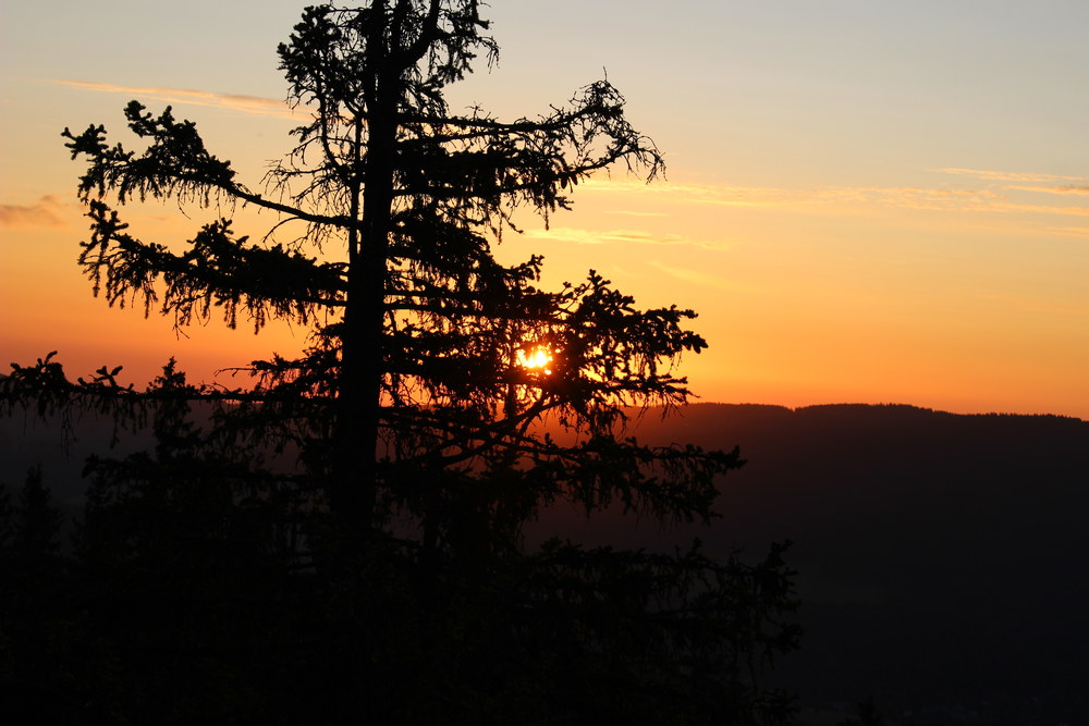 Fotka 07_25_svitani/img_8356.jpg